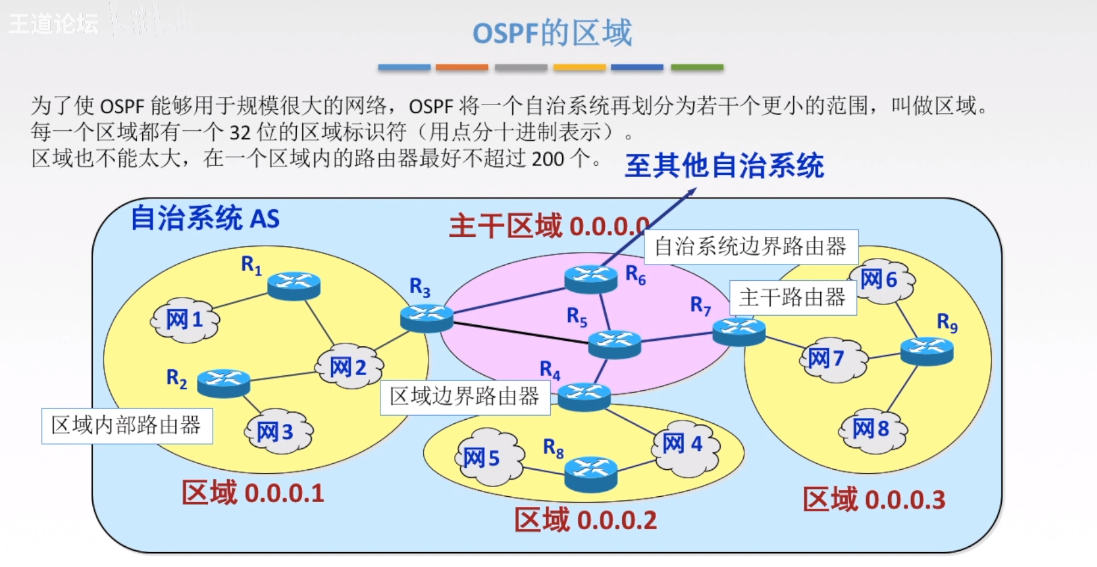 OSPF区域