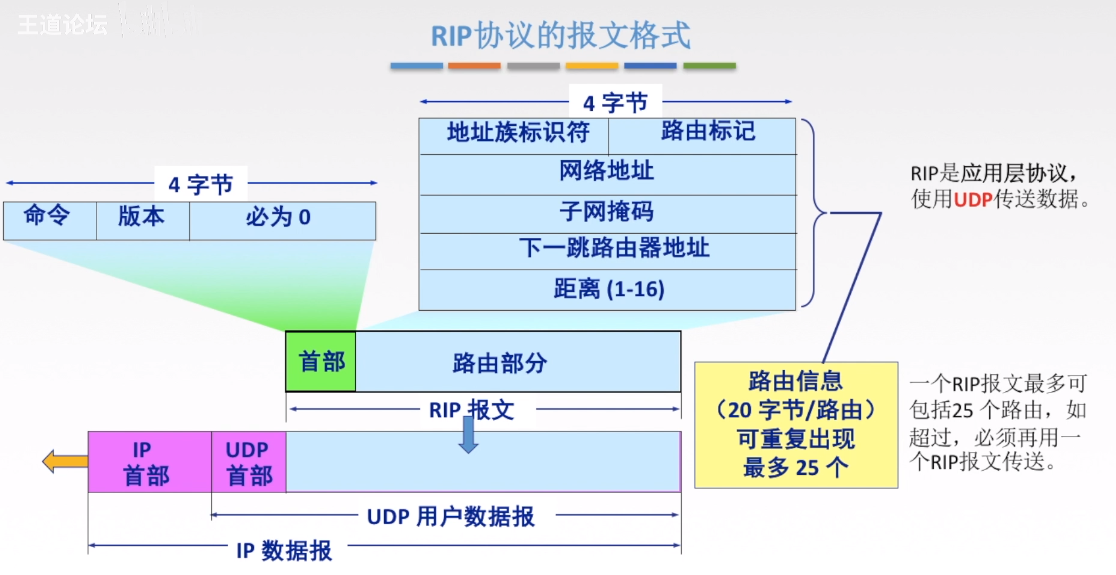 RIP协议报文格式