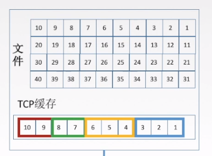 TCP序号