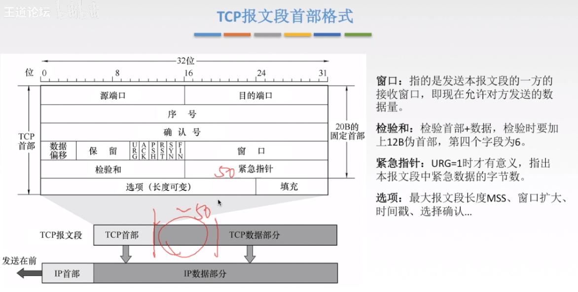 TCP报文段的首部2