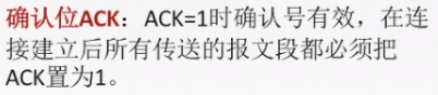 确认位ACK
